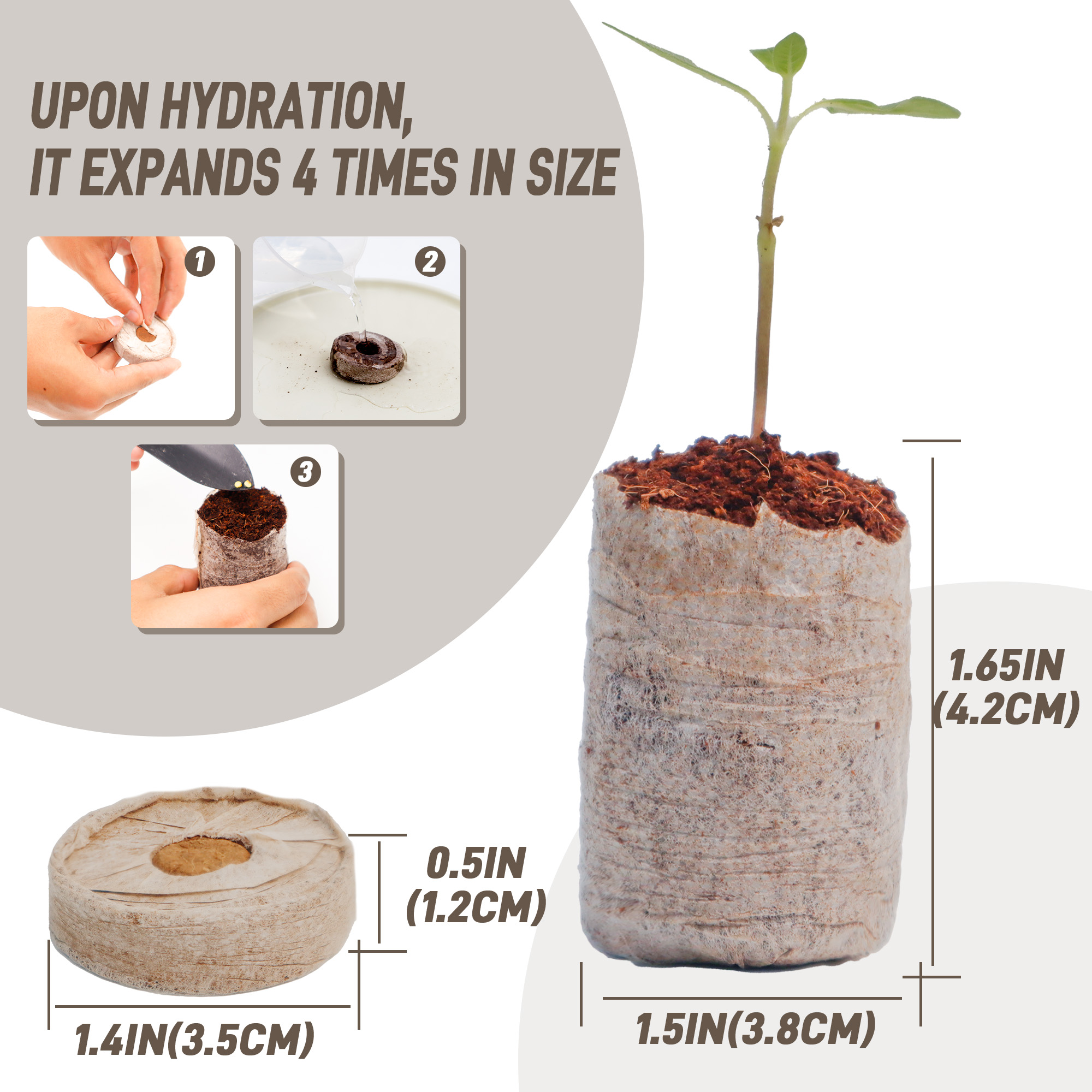 view