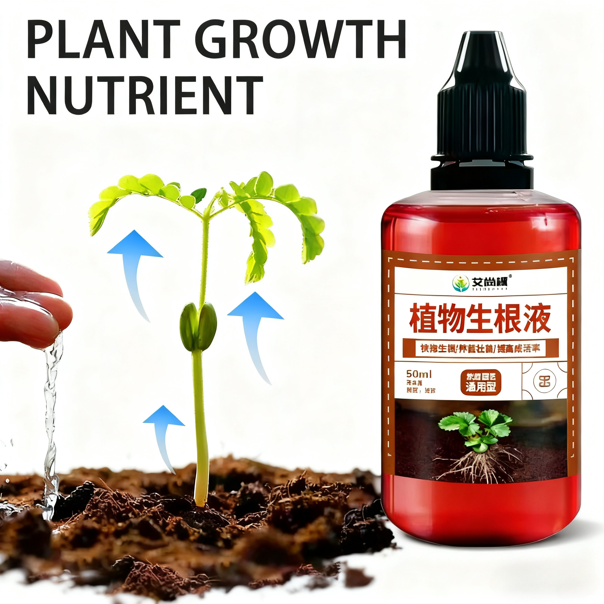 view