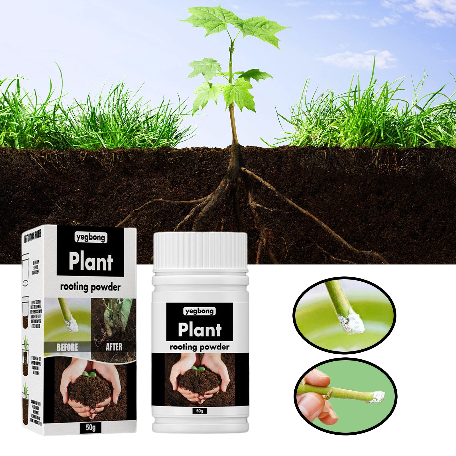 view